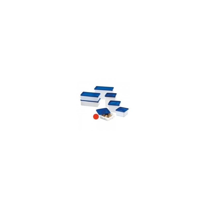 Boîtes de congélation 0,25L