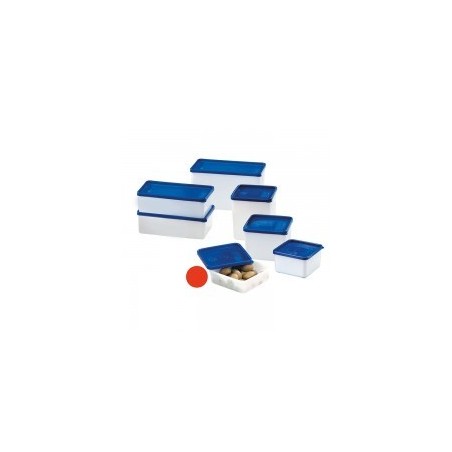 Boîtes de congélation 0,25L