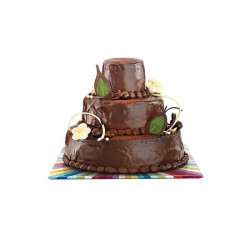Kit gâteau surprise